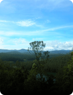 Nilgiri Hills